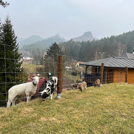 Natur Resort Jetrichovice Buitenkant foto