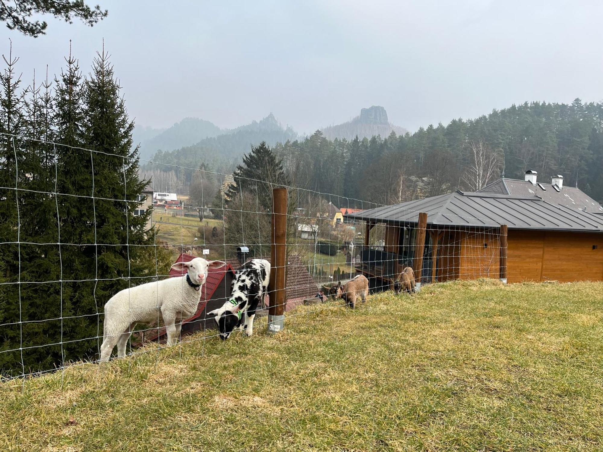 Natur Resort Jetrichovice Buitenkant foto
